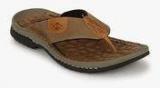 Lee Cooper Beige Slippers Men