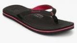 Lee Cooper Black Flip Flops Women