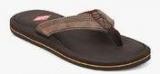 Lee Cooper Brown Flip Flops men