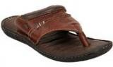 Lee Cooper Brown Slippers Men