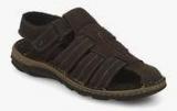 Lee Cooper Coffee Sandals Men