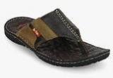 Lee Cooper Coffee Slippers Men