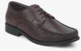 Lee Cooper Derby Brown Formal Shoes men