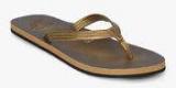 Lee Cooper Golden Flip Flops Women