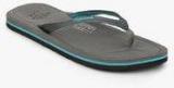 Lee Cooper Grey Flip Flops Women