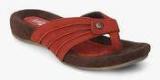 Lee Cooper Maroon Sandals women