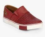 Lee Cooper Maroon Sneakers Boys