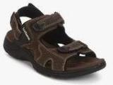 Lee Cooper Olive Sandals Men