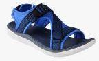 Lee Cooper Women's Navy Sandals