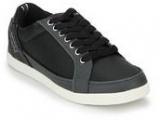 Levis Black Sneakers Men