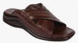 Liberty Coolers Brown Slippers Men