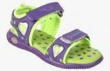 Liberty Footfun Purple Sandals Boys