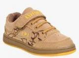 Lilliput Beige Sneakers Boys