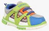 Lilliput Multi Sneakers Boys