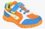 Lilliput Orange Sneakers Boys