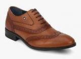 Louis Philippe Brown Brogue Derby Formal Shoes Men