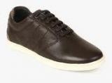 Louis-philippe Brown Sneakers Men