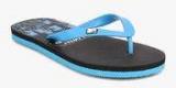 Mtv Blue Flip Flops Men