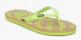 Mtv Green Flip Flops women