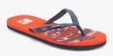 Mtv Navy Blue Flip Flops Women