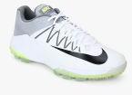 Nike Domain 2 Ns White Cricket Shoes men