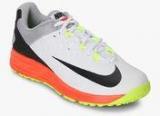 Nike Potential 3 Multicoloured Cricket Shoes Men