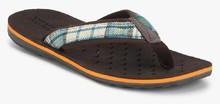 Numero Uno Brown Flip Flops men