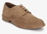 Phosphorus Brown Brogue Lifestyle Shoes Men