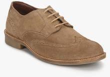 Phosphorus Brown Brogue Lifestyle Shoes men