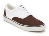 Phosphorus Coffee Sneakers Men