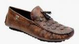 Prolific Brown Loafers Men