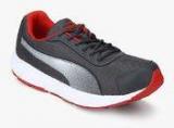 Puma Aeden Grey Running Shoes Men