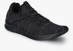 Puma Black IGNITE Flash EvoKNIT Training Shoes Men