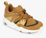 Puma Blaze Of Glory Sunfade Brown Sneakers Men