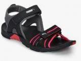 Puma Comfy Dp Wn Black Floaters Women