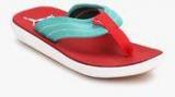 Puma Cult Dp Blue Flip Flops Women