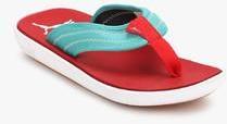 Puma Cult Dp Blue Flip Flops women