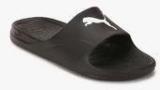 Puma Divecat Black Slippers Men