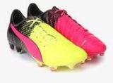 Puma Evopower 1.3 Tricks Fg Multicoloured Football Shoes Men