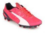 Puma Evospeed 1.3 Fg Red Football Shoes Men