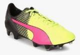 Puma Evospeed1.5Tricksfg Multicoloured Football Shoes Men