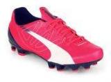 Puma Evospeed 5.3 Fg Pink Football Shoes Men