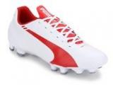 Puma Evospeed 5.3 Fg Red Football Shoes Men