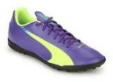 Puma Evospeed 5.3 Tt Purple Football Shoes Men