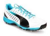 Puma Evospeed Cricket Spike 1.3 White Cricket Men