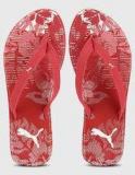 Puma Flora 2 Dp Red Flip Flops Women