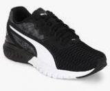 Puma Ignite Dual Black Running Shoes Women