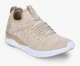 Puma Ignite Flash Evoknit Beige Running Shoes Men