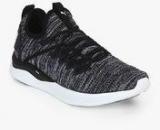 Puma Ignite Flash Evoknit Black Running Shoes Men