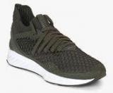 Puma Ignite Netfit Olive Running Shoes Men